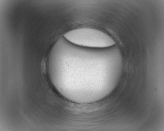 X0000069830026200605190953