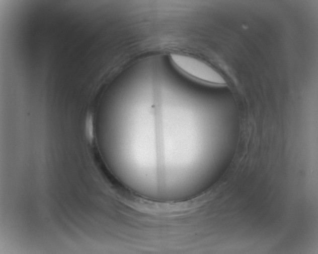 X0000069830027200605190953