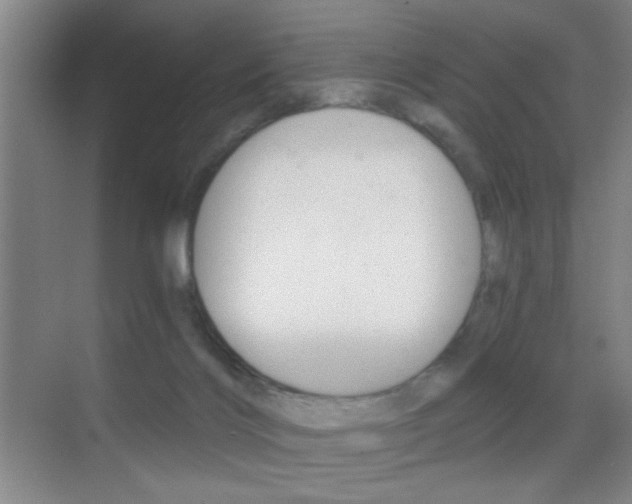 X0000069830028200605190953