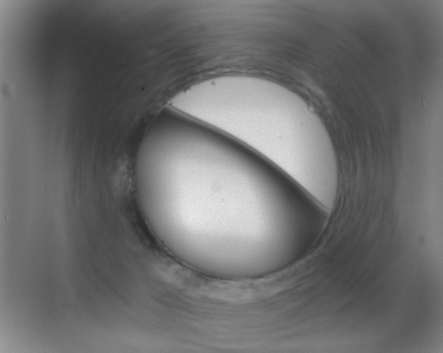 X0000069830029200605190953