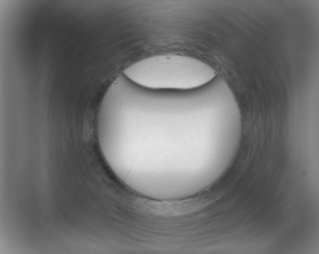 X0000069830030200605190953