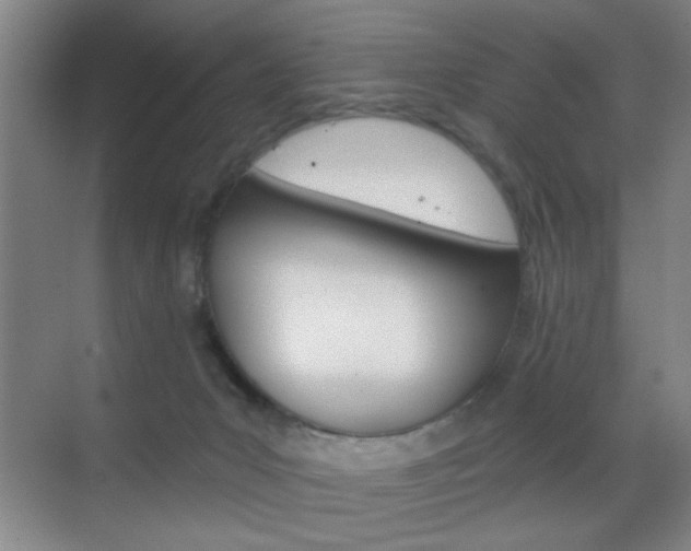 X0000069830031200605190953