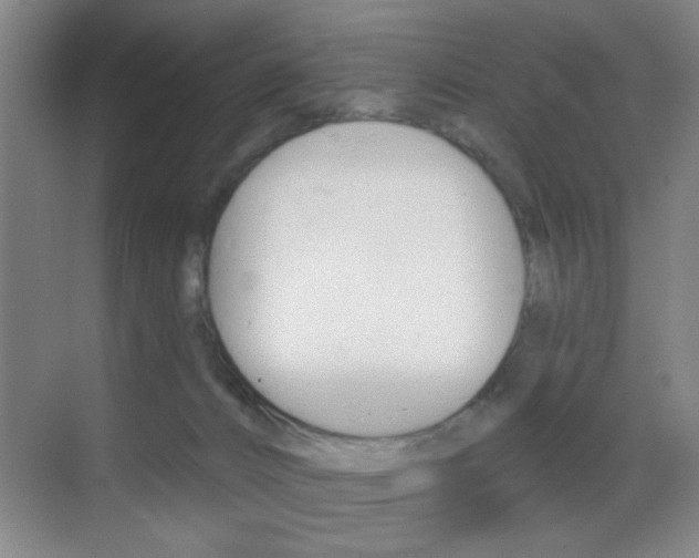 X0000069830032200605190953