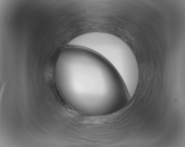 X0000069830033200605190953