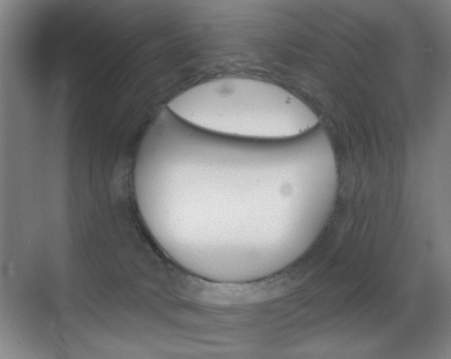 X0000069830034200605190953