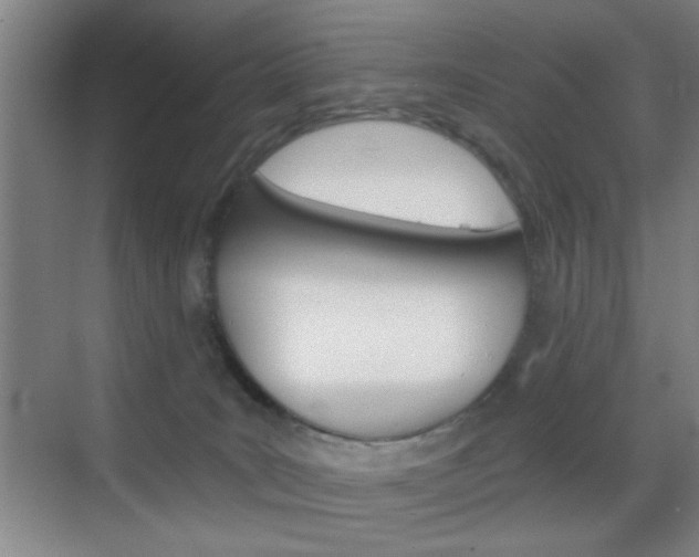 X0000069830035200605190953