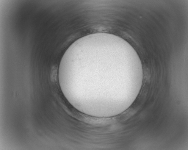 X0000069830036200605190953