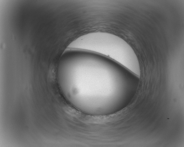 X0000069830037200605190953