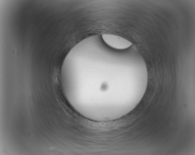 X0000069830038200605190953