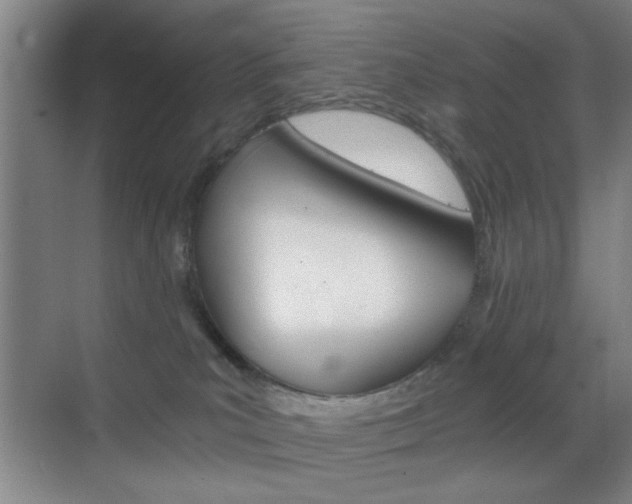 X0000069830039200605190953