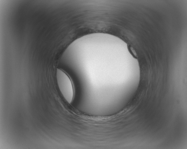 X0000069830040200605190953