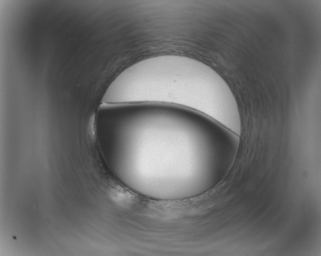 X0000069830041200605190953