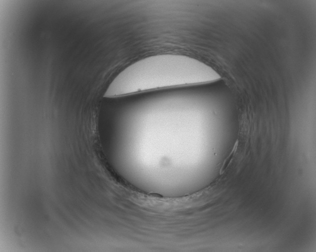 X0000069830043200605190953