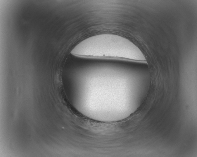 X0000069830044200605190953