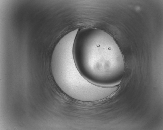 X0000069830045200605190953