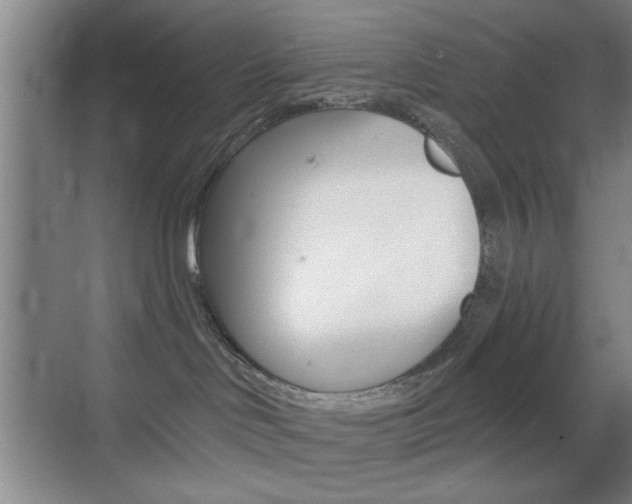 X0000069830046200605190953