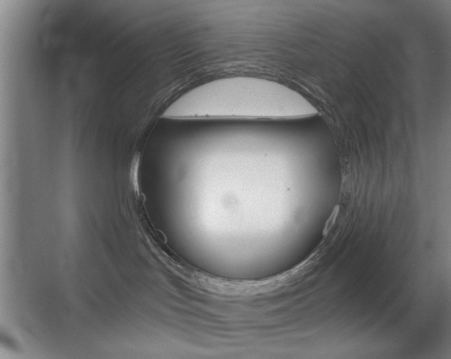 X0000069830047200605190953