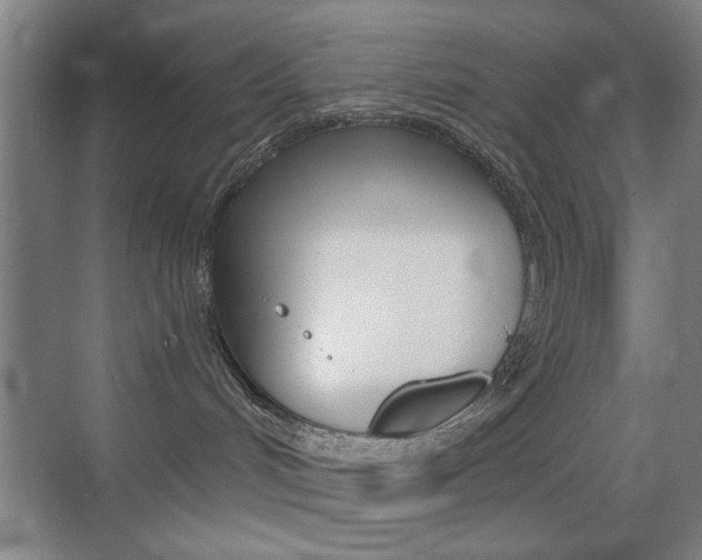 X0000069830048200605190953