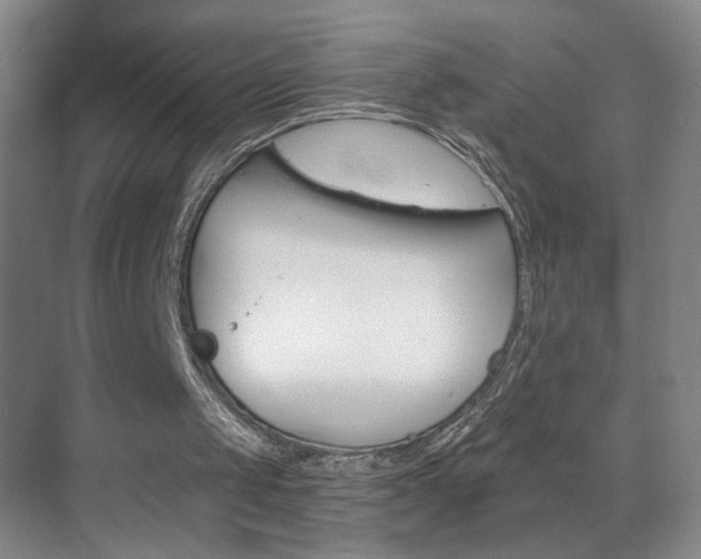 X0000069830049200605190952