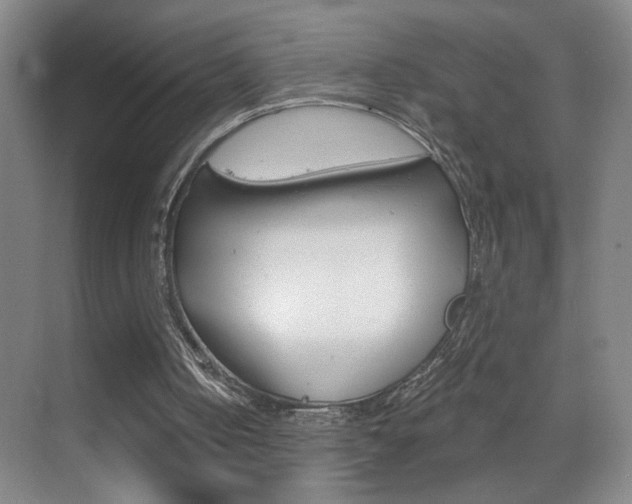 X0000069830050200605190952