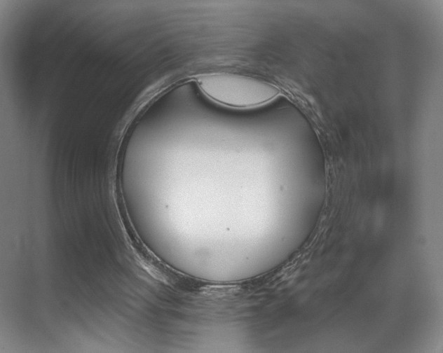 X0000069830051200605190952