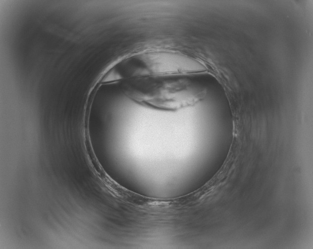 X0000069830052200605190952