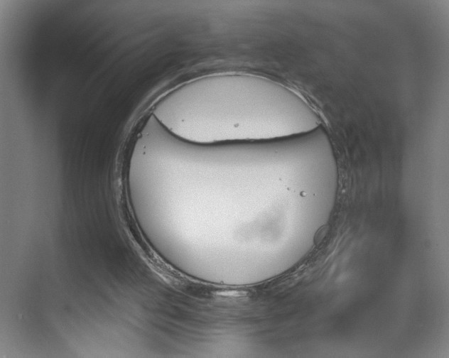 X0000069830053200605190952