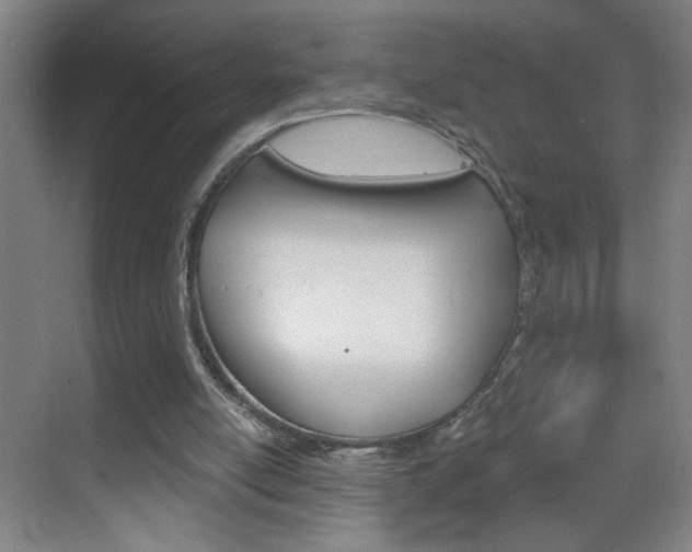 X0000069830054200605190952