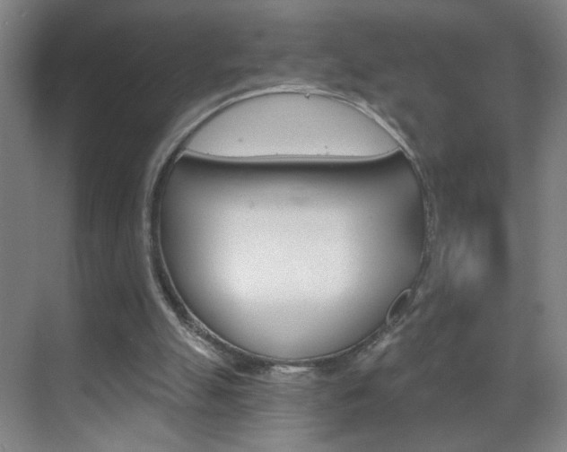 X0000069830055200605190952