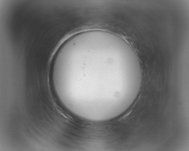 X0000069830056200605190952