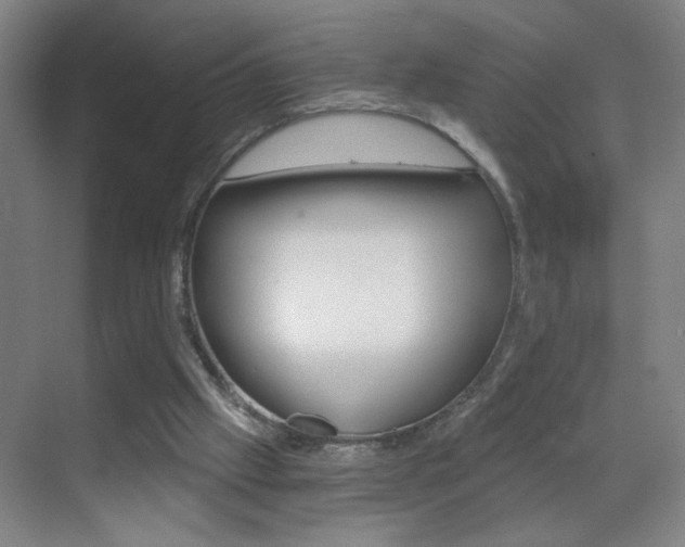 X0000069830057200605190952