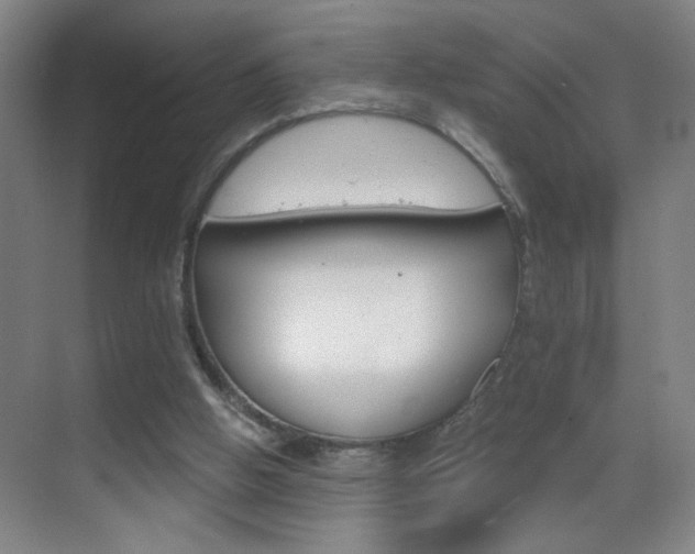 X0000069830058200605190952