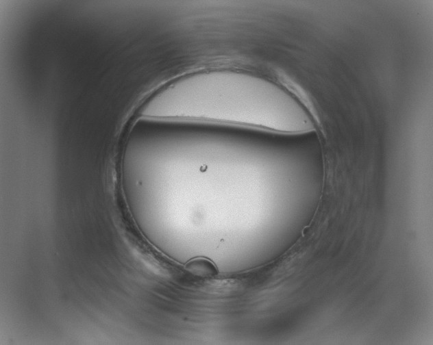 X0000069830059200605190952