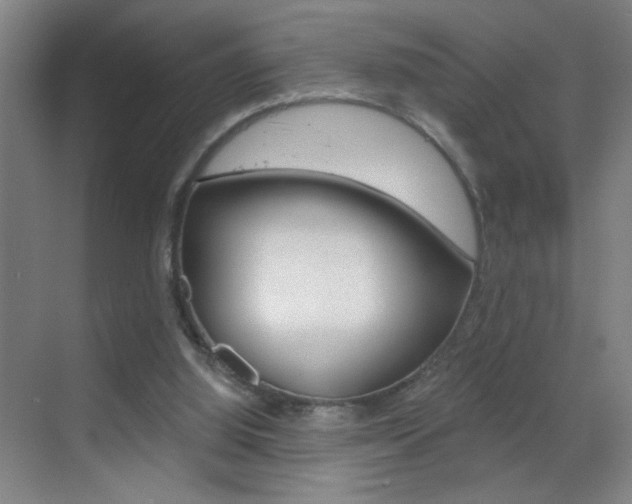 X0000069830060200605190952