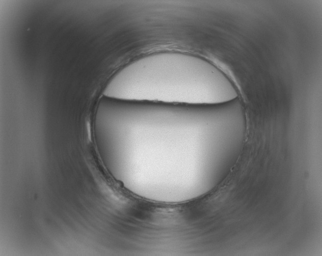 X0000069830061200605190952