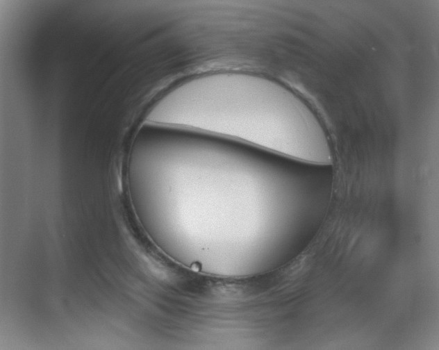 X0000069830062200605190952