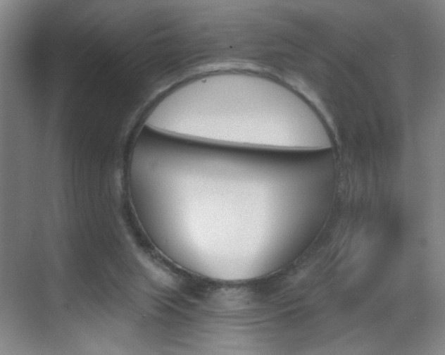 X0000069830063200605190952