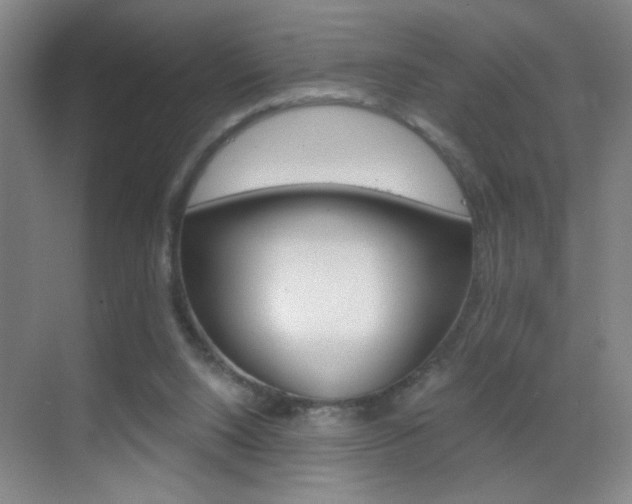 X0000069830064200605190952