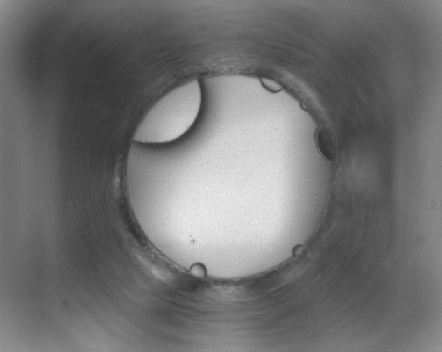 X0000069830065200605190952