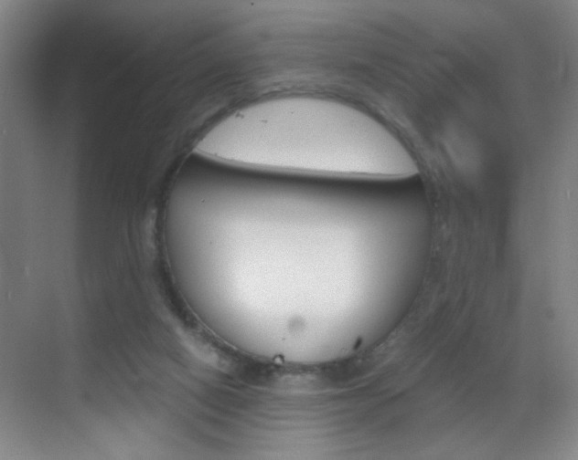 X0000069830066200605190952