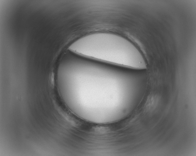 X0000069830067200605190952