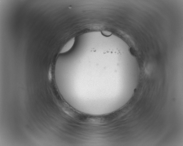 X0000069830069200605190953