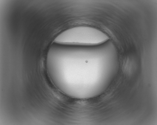 X0000069830071200605190953