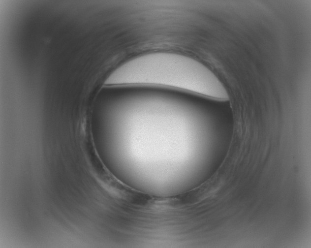 X0000069830072200605190953