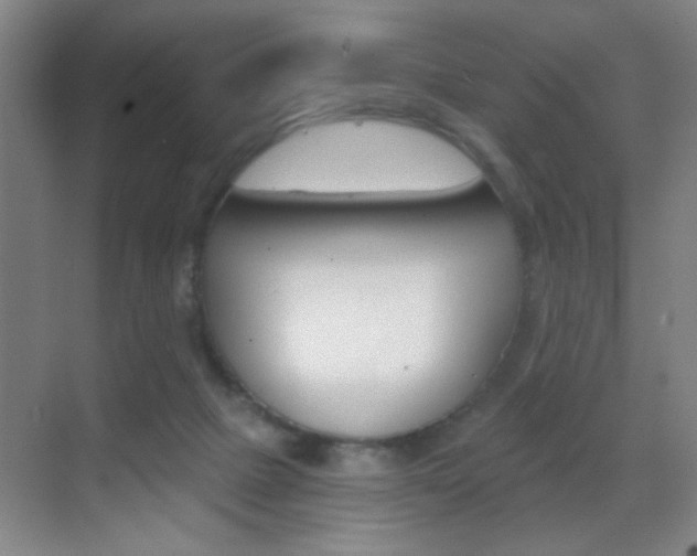 X0000069830073200605190953