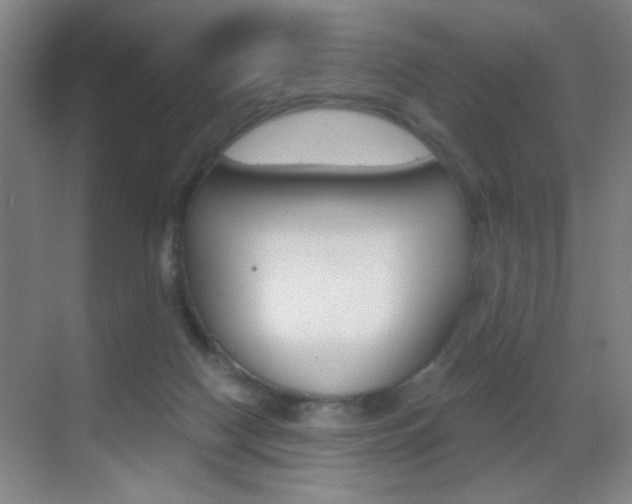 X0000069830074200605190953