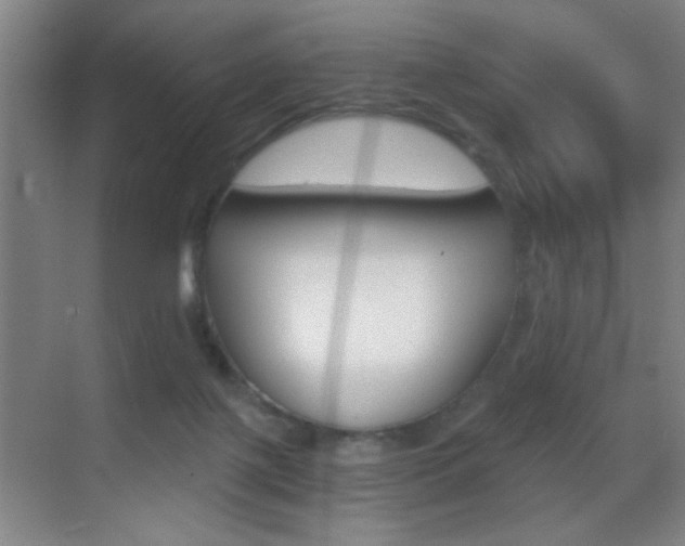 X0000069830075200605190953