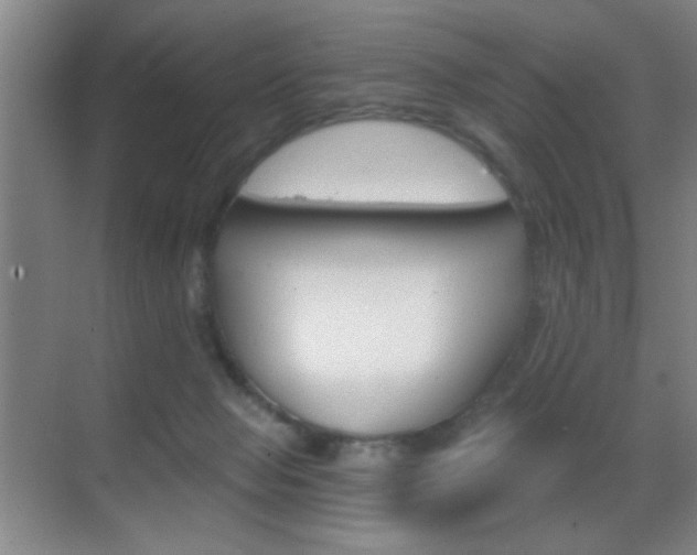 X0000069830077200605190953