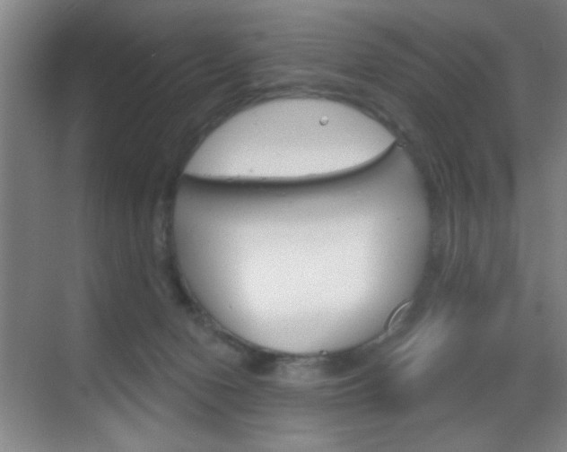 X0000069830078200605190953