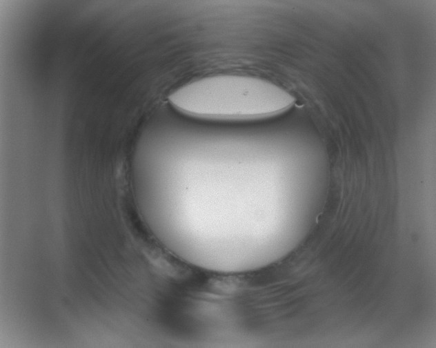 X0000069830079200605190953